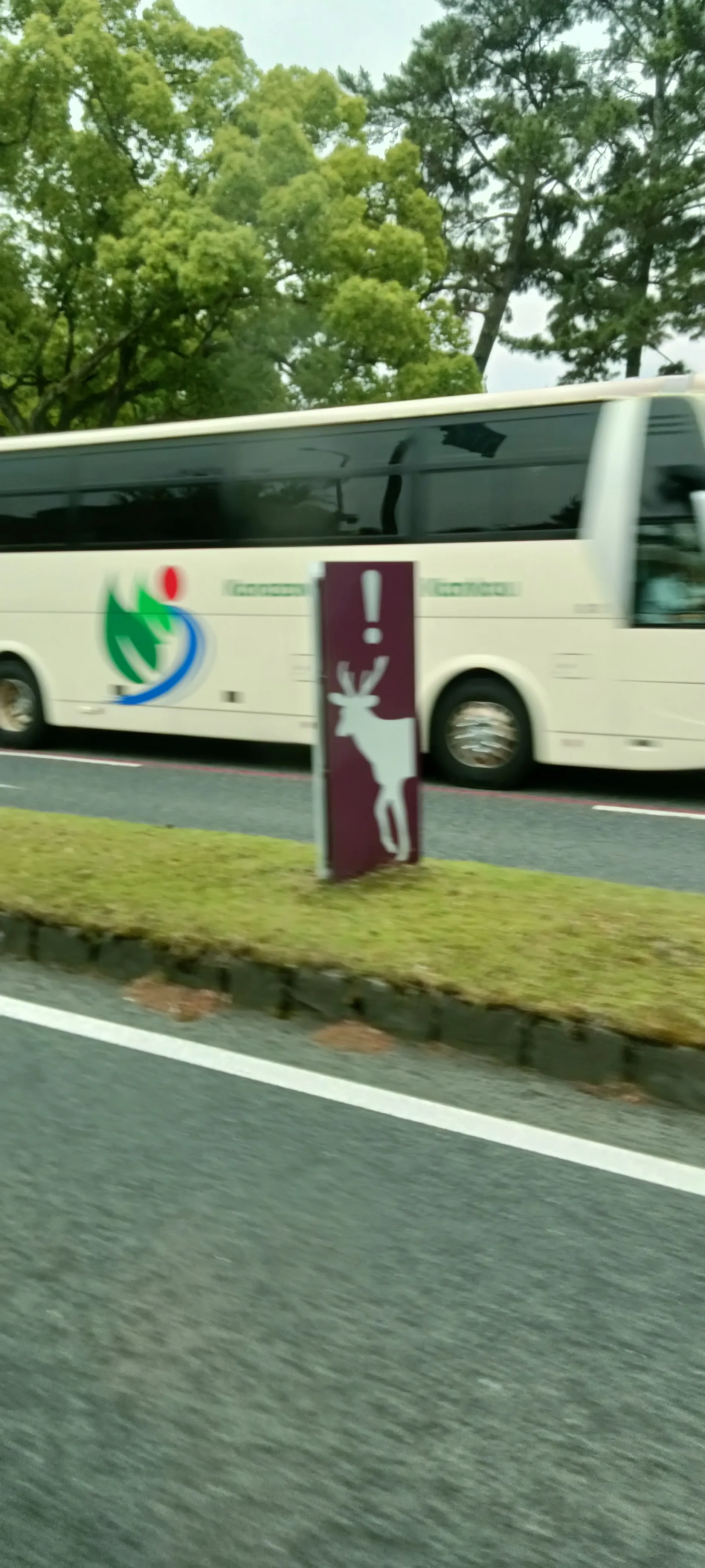 鹿: 小心我撞死你们