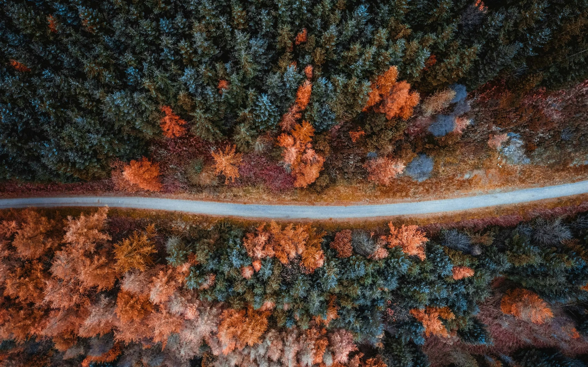 backgroundPicture